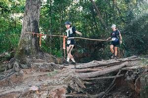 BIB: 
                            <button type="button" onclick="openModal(27305383)" class="btn btn-primary btn-sm float-right btn-popup" data-toggle="modal" data-target=".modal-high-quality">
                        <i class="fas fa-shopping-cart"></i> Add to Cart
                    </button>
                                            <button type="button" onclick="isThisMe(27305383, true)" class="btn btn-success btn-sm float-right btn-popup btn-isme hidden" data-toggle="tooltip" data-placement="bottom" title="นี่คือรูปของคุณใช่ไหม คลิกที่นี่เพื่อเอาเข้าอัลบั้ม">
                        <i class="fas fa-plus"></i> Add to album
                    </button>
                    <button type="button" onclick="isThisMe(27305383, false)" class="btn btn-warning btn-sm float-right btn-popup btn-isnotme hidden">
                        <i class="fas fa-ban"></i> Remove from album
                    </button>